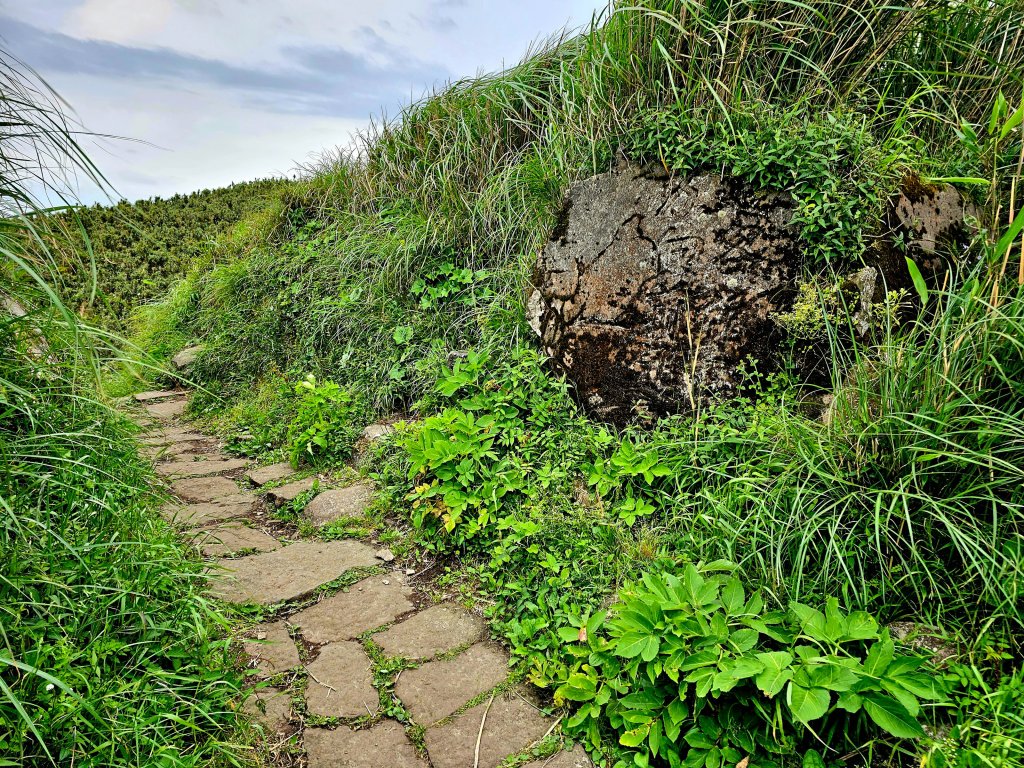 小百岳集起來-大屯山_2180829