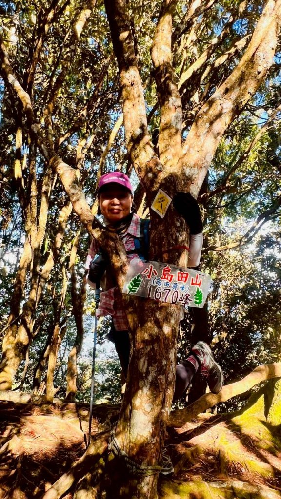 🌈11/9(日)高島縱走~高台山連走島田山山徑✨FB：熊熊趴爬走🌈_2932514