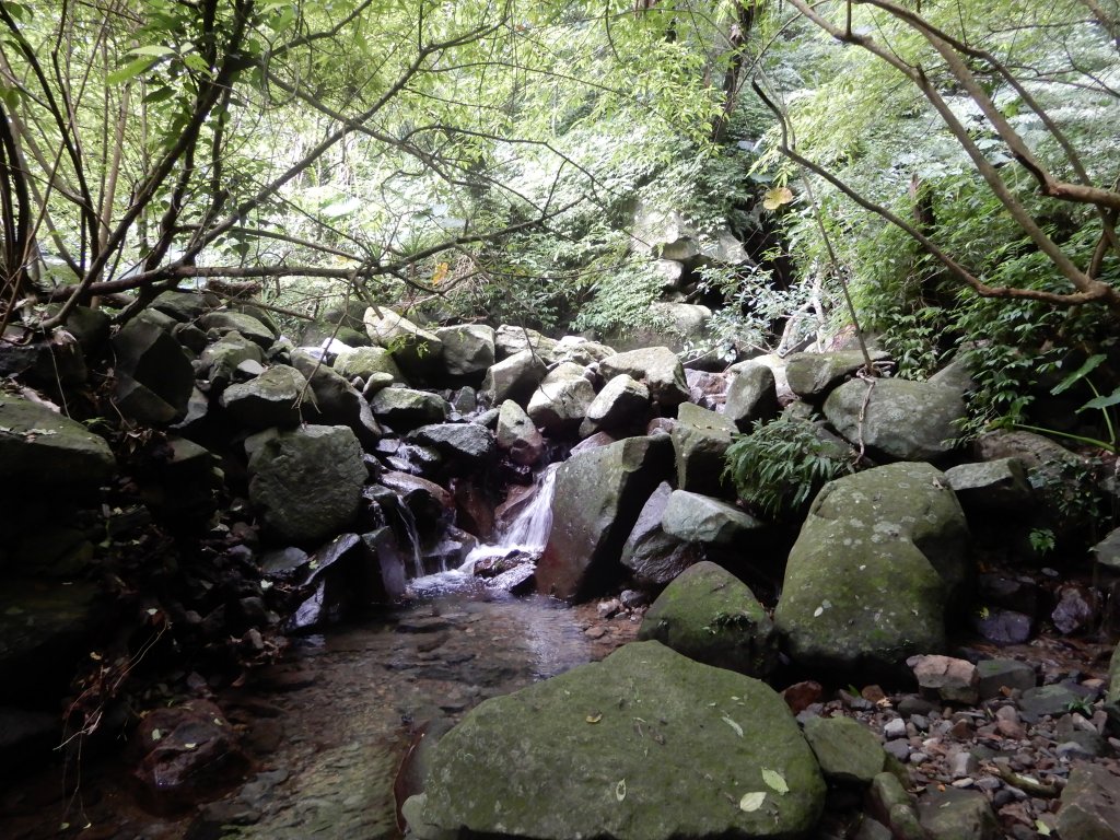 鹿角坑古道+楓林瀑布_1116636