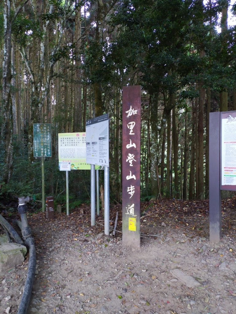 加里山步道+杜鵑嶺+舊運木鐵道(大坪支線封面圖