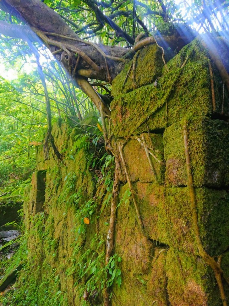 璀璨百年淡蘭古道～中坑古道、崩山坑古道、柑腳山O走_1113431