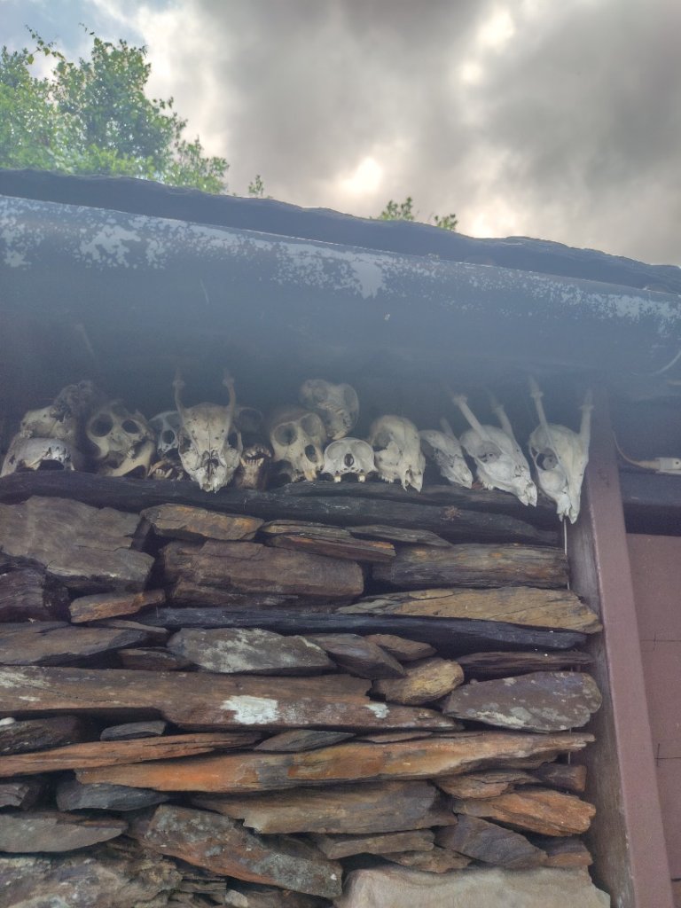 朝聖橋-射鹿部落-高燕部落-旗鹽山-排雲瀑布-沙拉灣瀑布封面圖