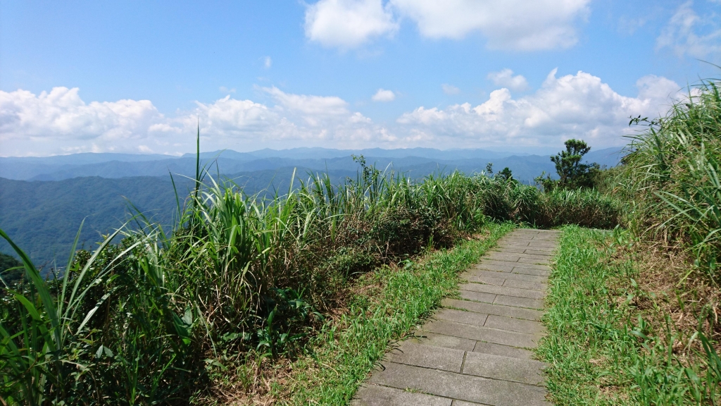 荖寮坑步道-十分古道-五分山2016.6封面圖