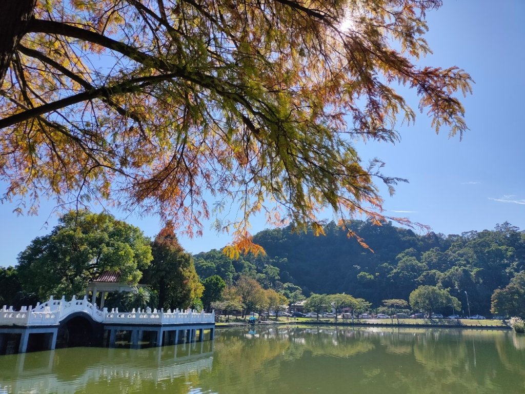 環碧湖［小愛心5連峰縱走］（獅頭山+碧湖山+新坡尾山+竹嵩山+金面山）_2393332