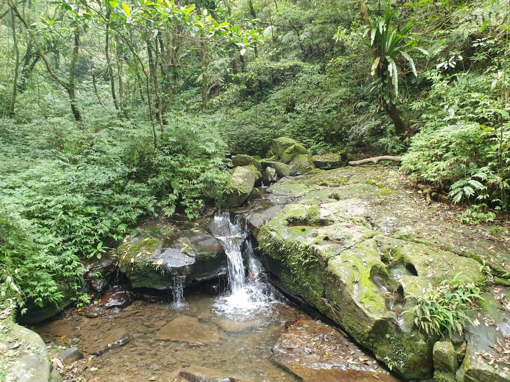 新北 淡蘭古道中路2/3 (柑腳－外澳車站)_1347884