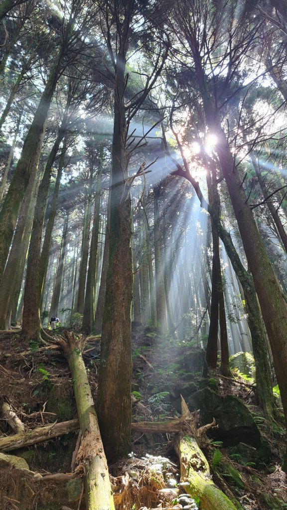 苗栗加里山封面圖