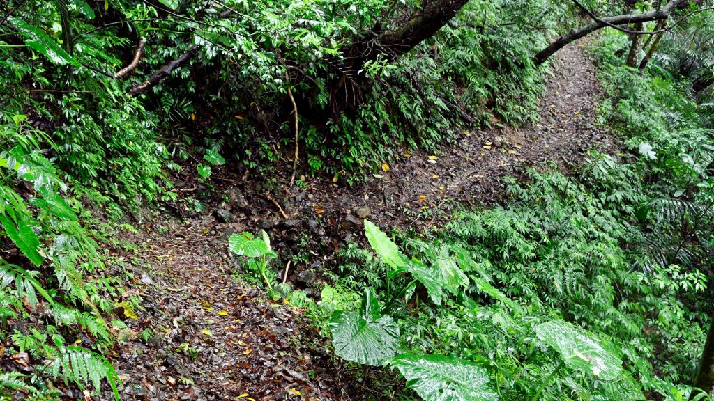 淡蘭古道中路（闊瀨崩山坑環線）_989159