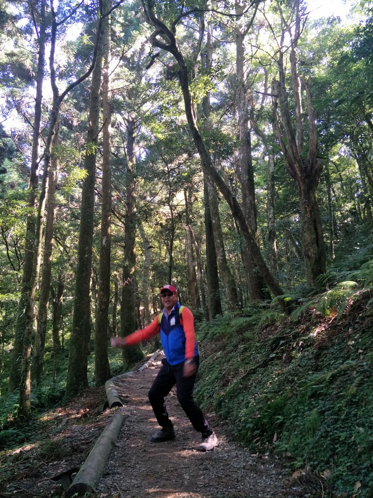 2020 10 28 東眼山自導式步道_1146623