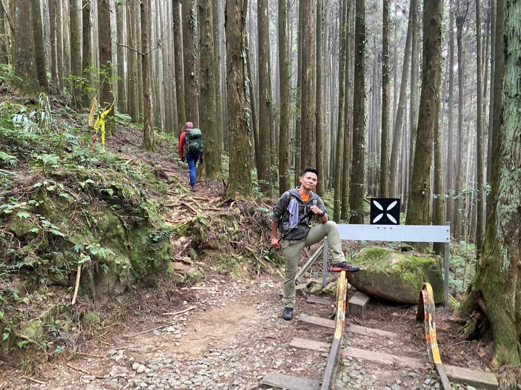 二萬坪山.屏遮那山.夫妻神木【最佳品質的森林浴】_2370230