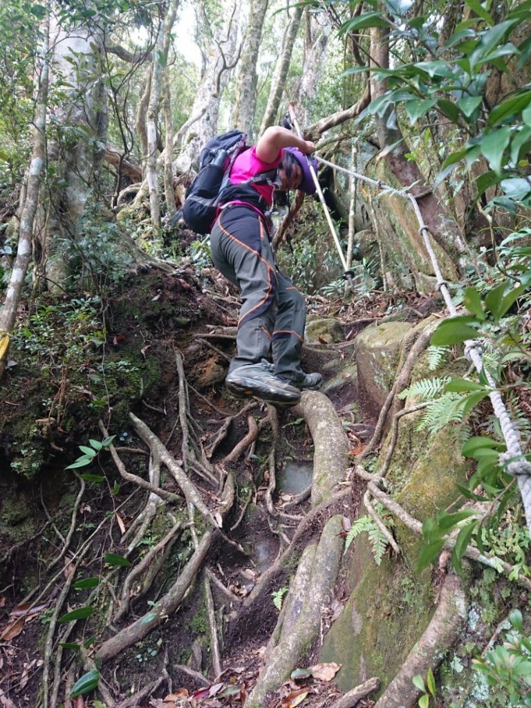 那結山（嘎色鬧部落線）_893423