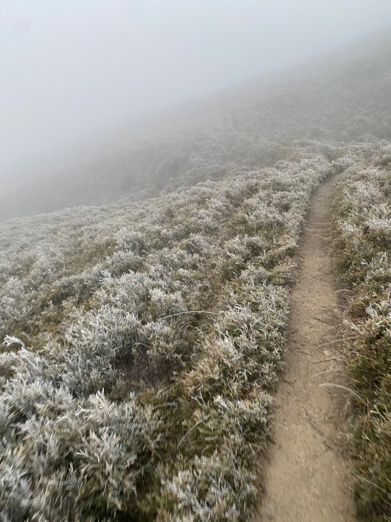 【 爬山趣 】中央山脈雙S型縱走｜南二段_2012072