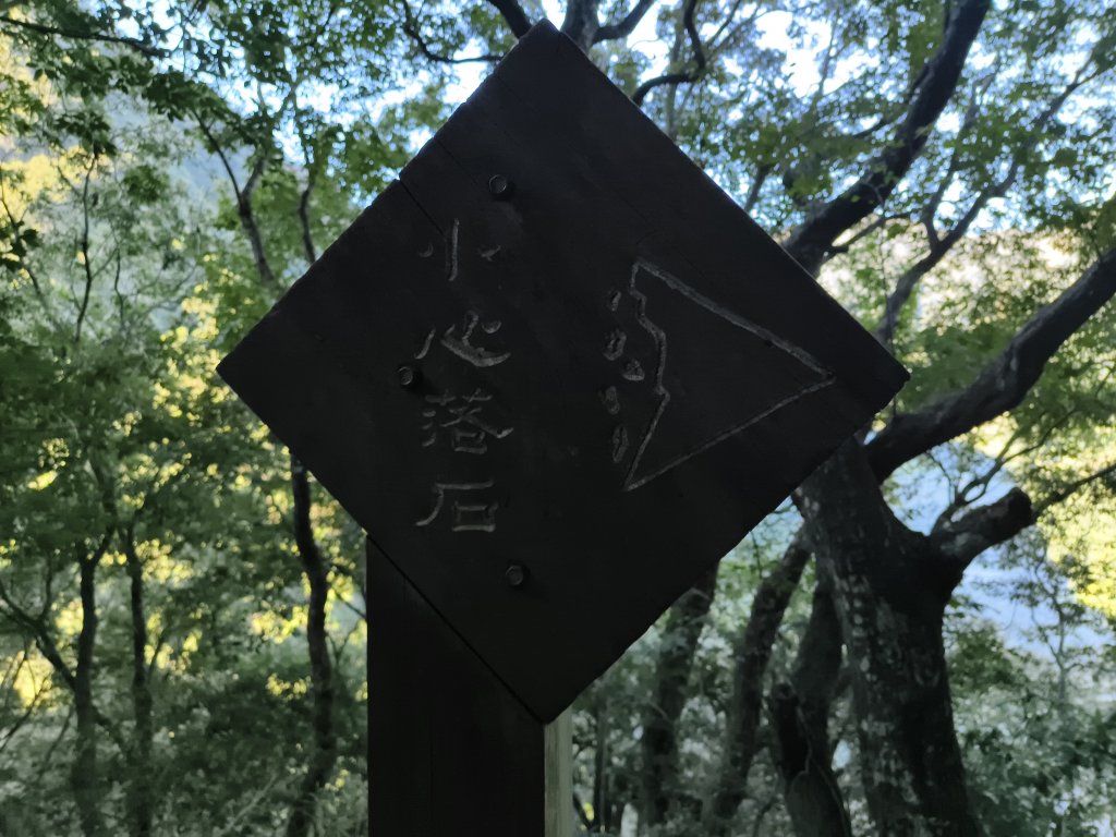 [玉山尋寶任務-07/12] 2025_0824 八通關雲龍瀑布步道_2870508