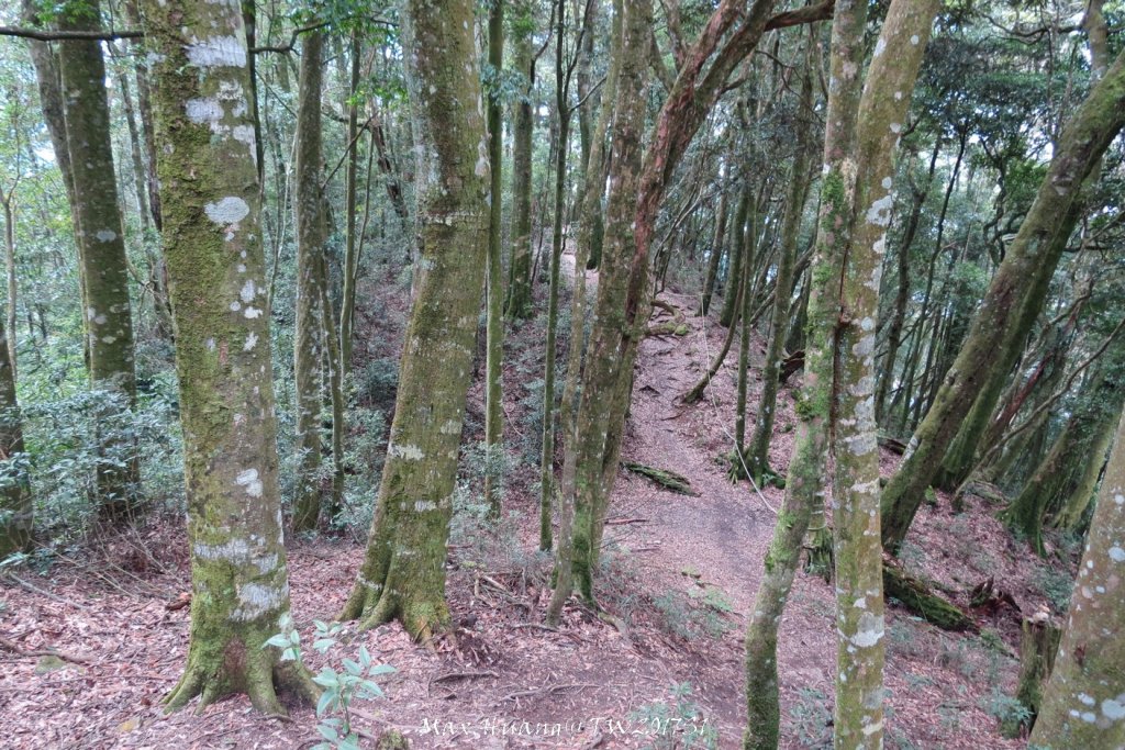 《台中》谷關七雄｜初登屋我尾山20170319_2890424