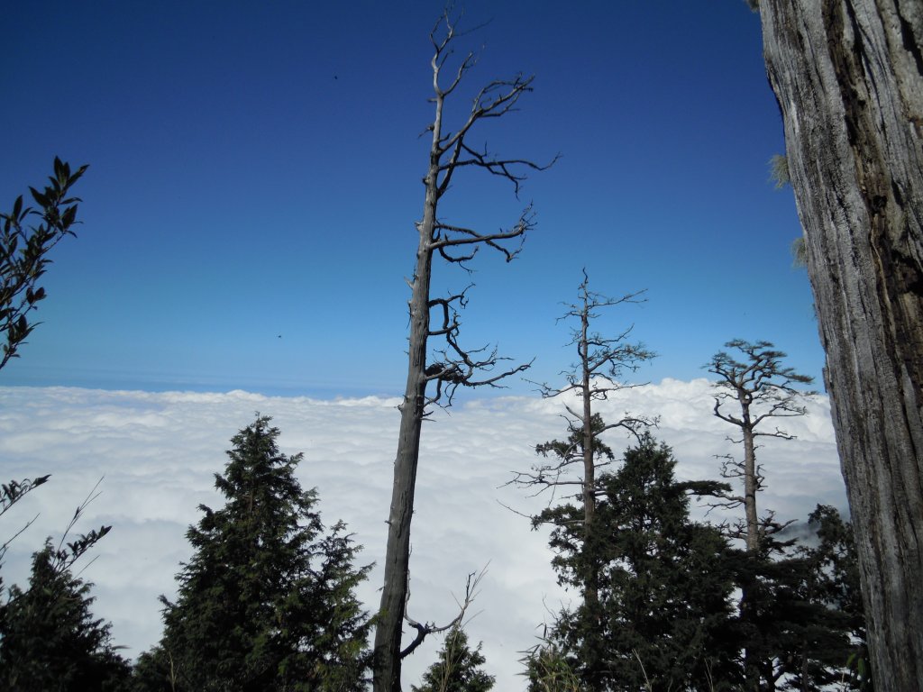 西巒大山單攻20131020_1961634