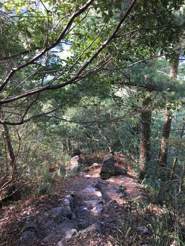 20161204_谷關七雄之二-馬崙山_873844