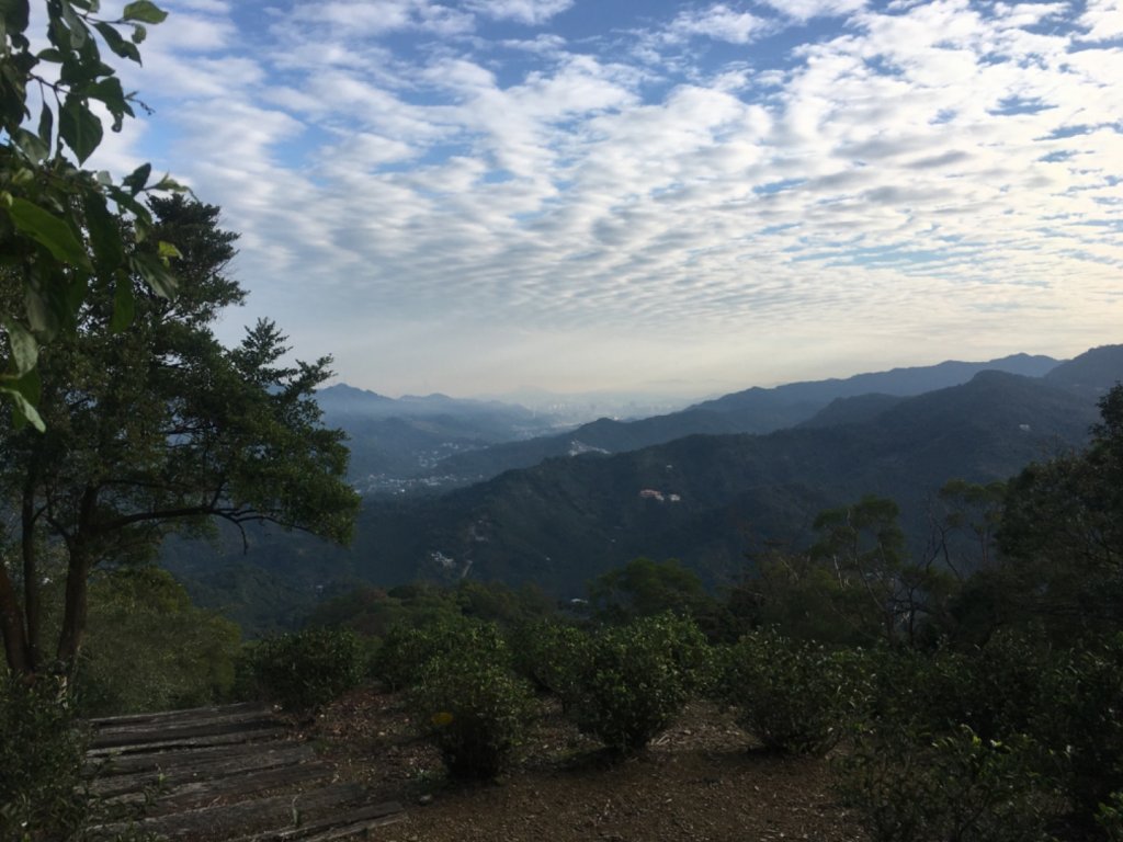 六寮崙山、雞罩山、白雞山8字走_2371046