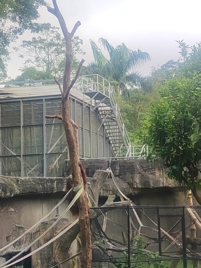 台北動物園_2664048