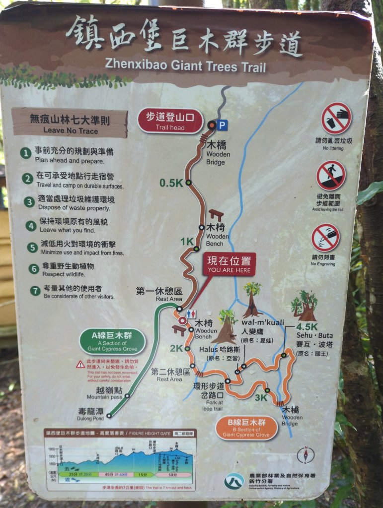 2026.01.03－鎮西堡B區神木群_2981134