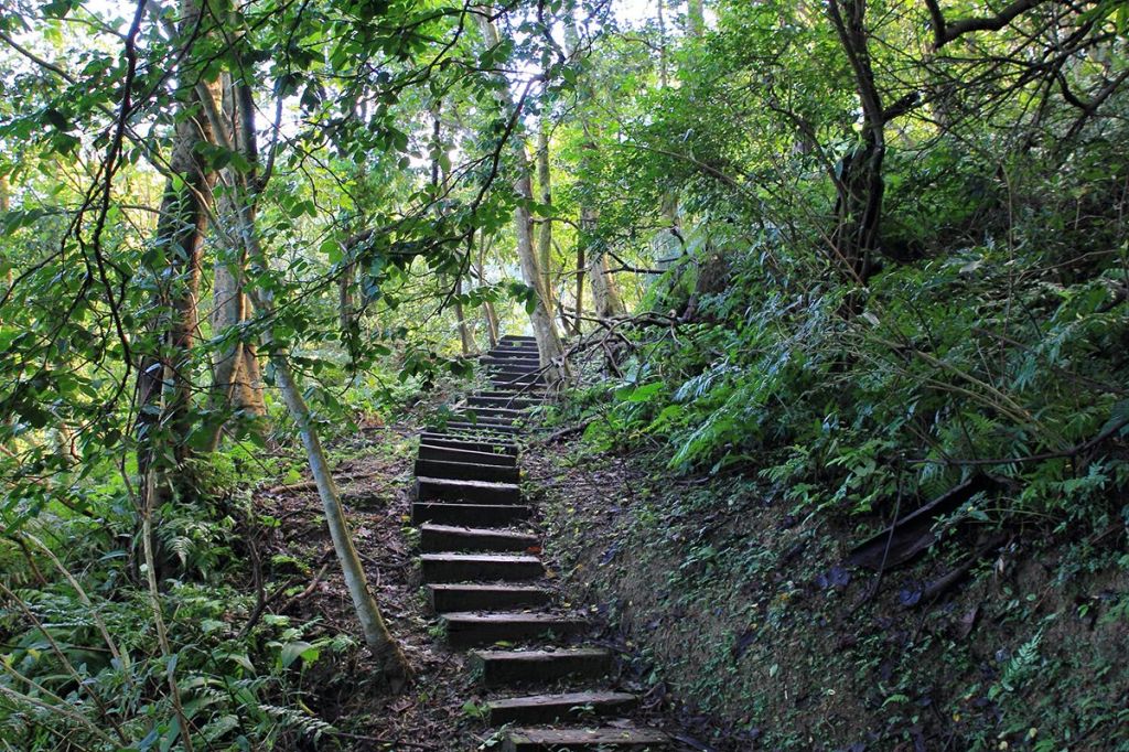 土城天上山步道_267877