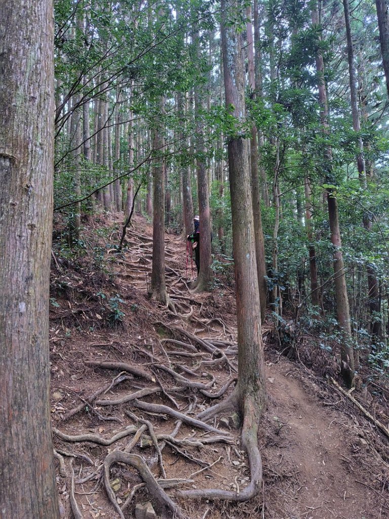 長壽山、肥崠山、醜崠山、大崠山、大崠山經建版_2931528
