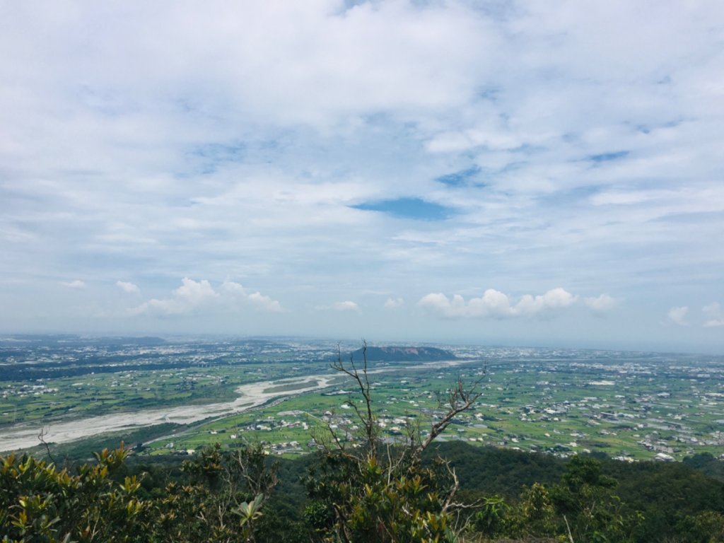 1090611火炎山相思樹花大開_992652