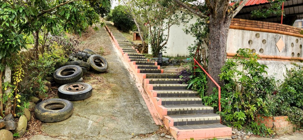 老銃櫃步道，三聯埤落羽松步道，金門觀止及翟山步道，台中知高圳步道_1983700