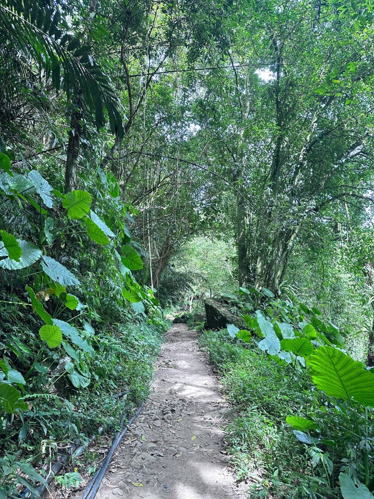 南坪古道順走馬胎古道_2598439