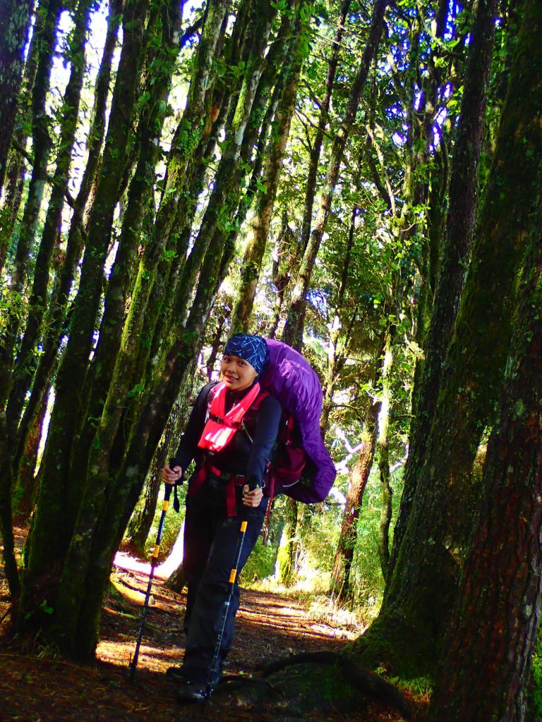 北一段 南湖前四峰_377719