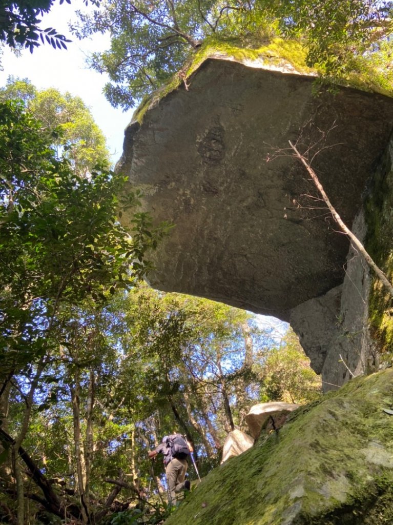 南庄加里山林業遺跡忘雨巖封面圖