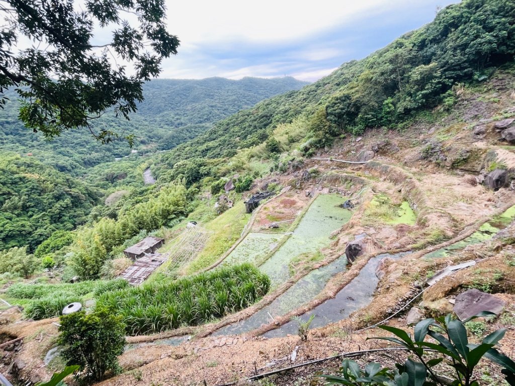 1140926坪頂古圳親山步道封面圖