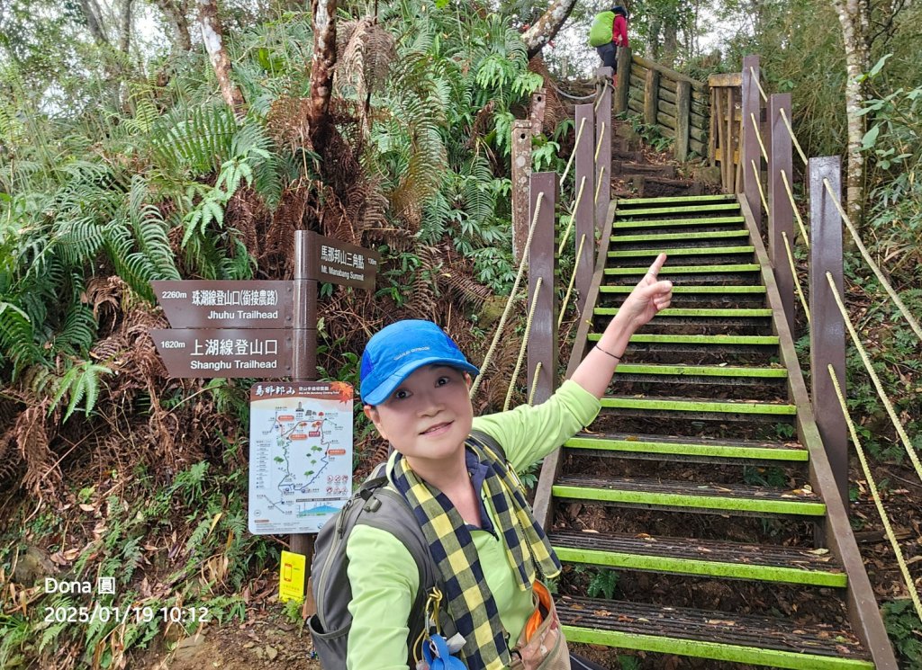 小百岳馬那邦山(H1407m)加碼採草莓_2694654