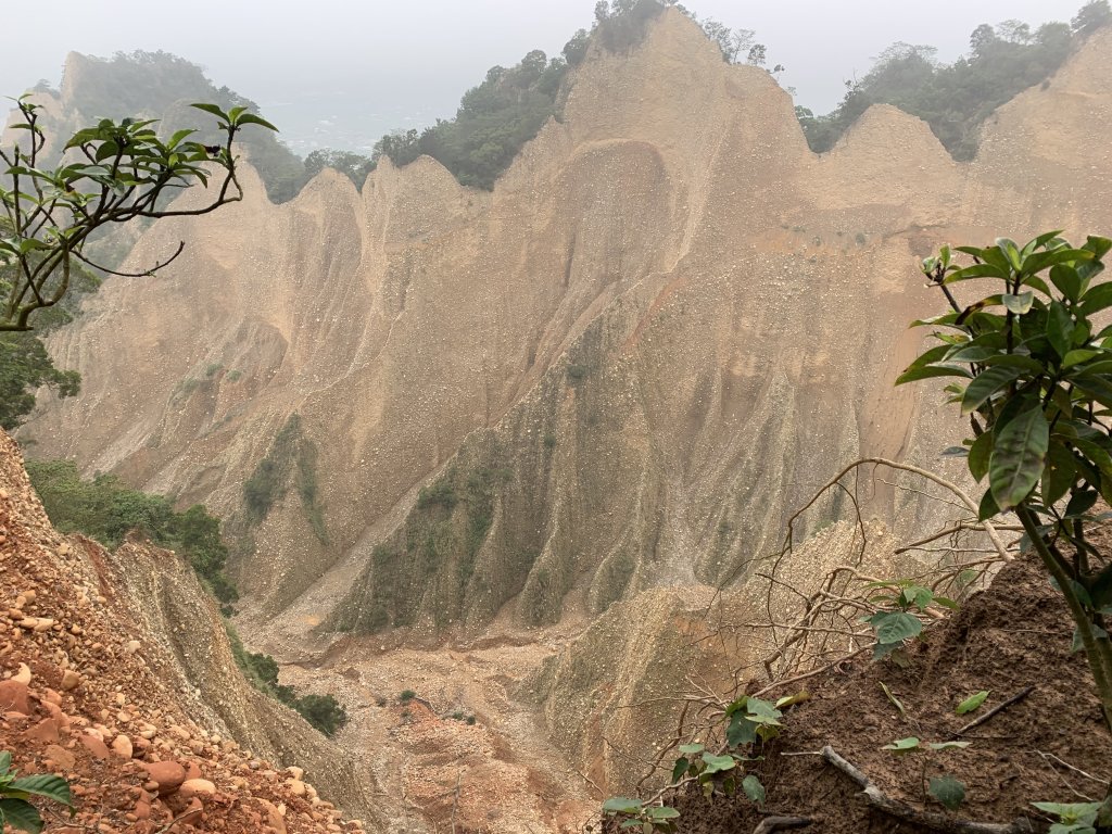 20250426苗栗火炎山_2772844