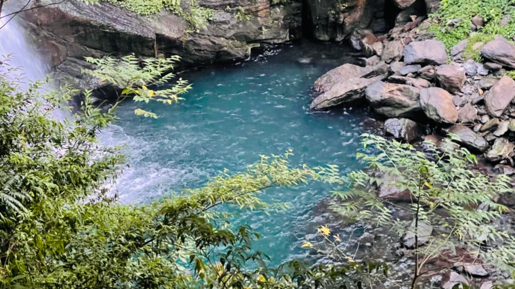 1101009內洞森林遊樂區_1484776