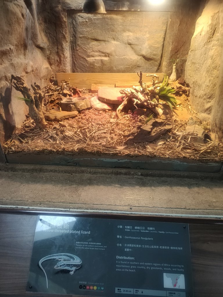 台北動物園_2664003
