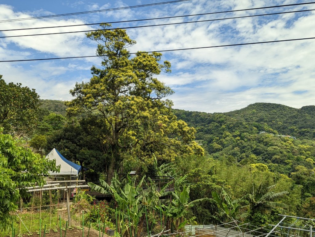 內湖景點輕鬆走：大溝溪生態園區。圓覺瀑布。夫妻樹＆紫藤花。同心池。白石湖吊橋。碧山巖_1654404