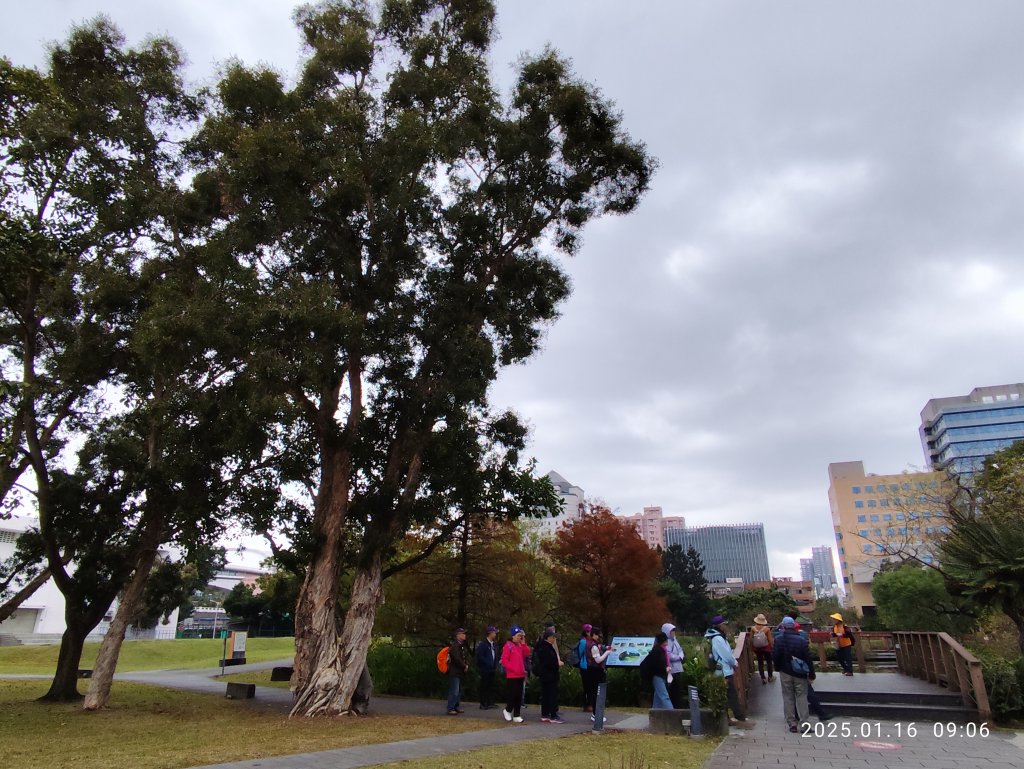 4-1 國立臺灣大學校園巡禮_2691903