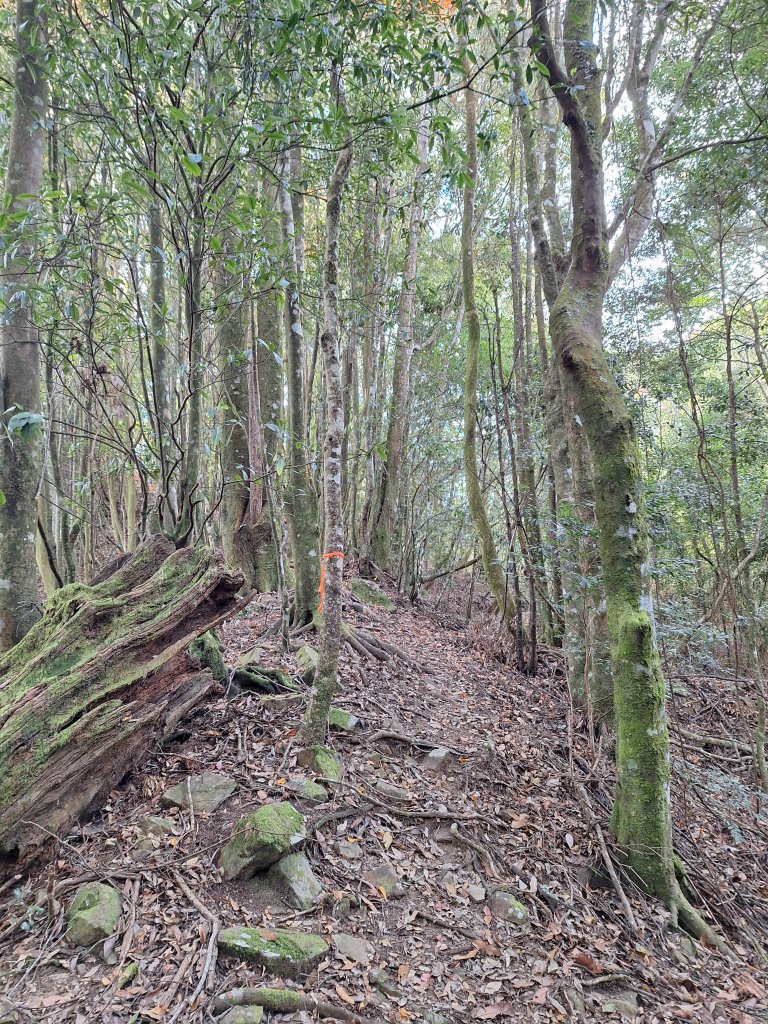 盡尾山20251225_2971995