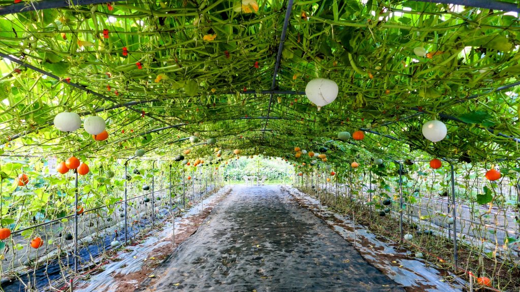 北海岸。良率_2783491