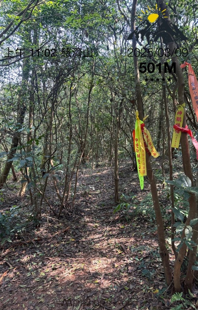 挑炭古道｜三通嶺古道_2730447