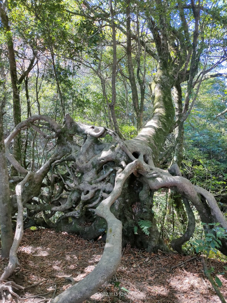 內鳥嘴山+北得拉曼_1923156