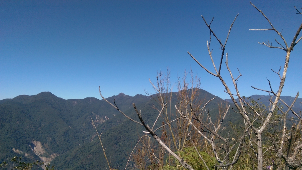 登山初體驗之谷關七雄-東卯山_69581