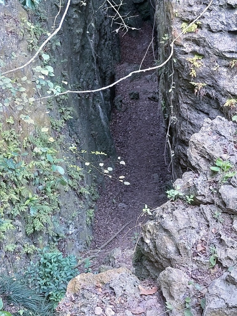 北柴山秘境之旅_2754363