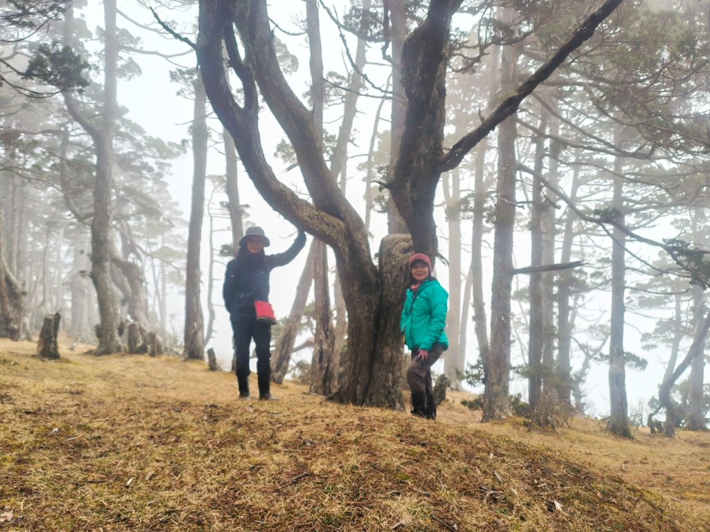 20240318 馬博8天縱走~第三天，秀姑巒山_2469890