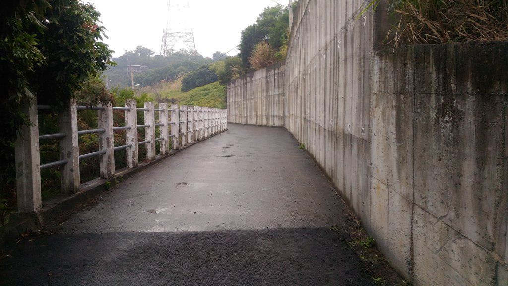 霧峰阿罩霧山〈H249M〉（小百岳）_291799