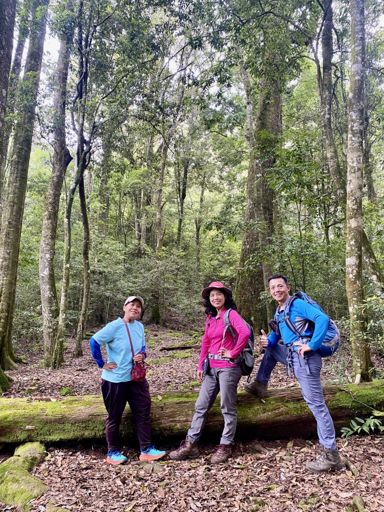 醜崠山納涼趣    2024/6/23_2534884