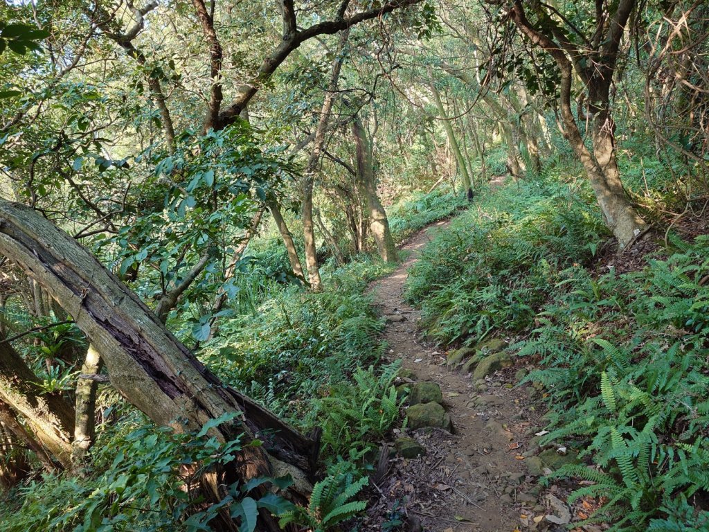 微笑山線之鳶山任務_2855496