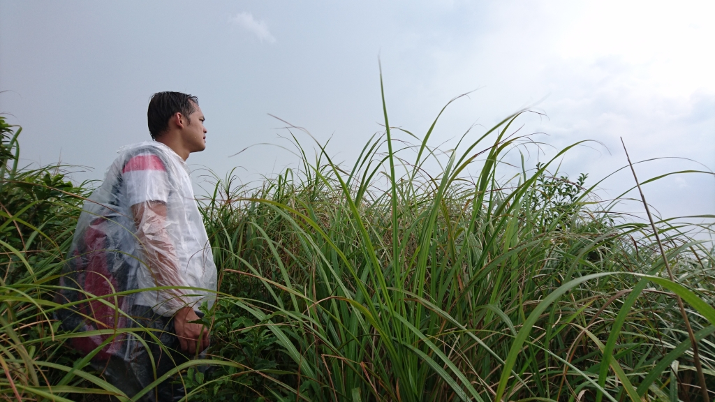 黃金七稜＊南子吝山稜105.07.18　_56392