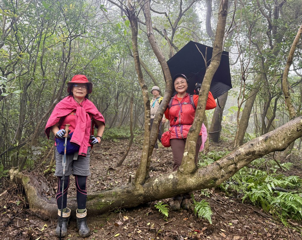 七上八下_2718010