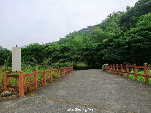 彰化二水~山林美境尋寶石~坑內坑森林步道_1170762