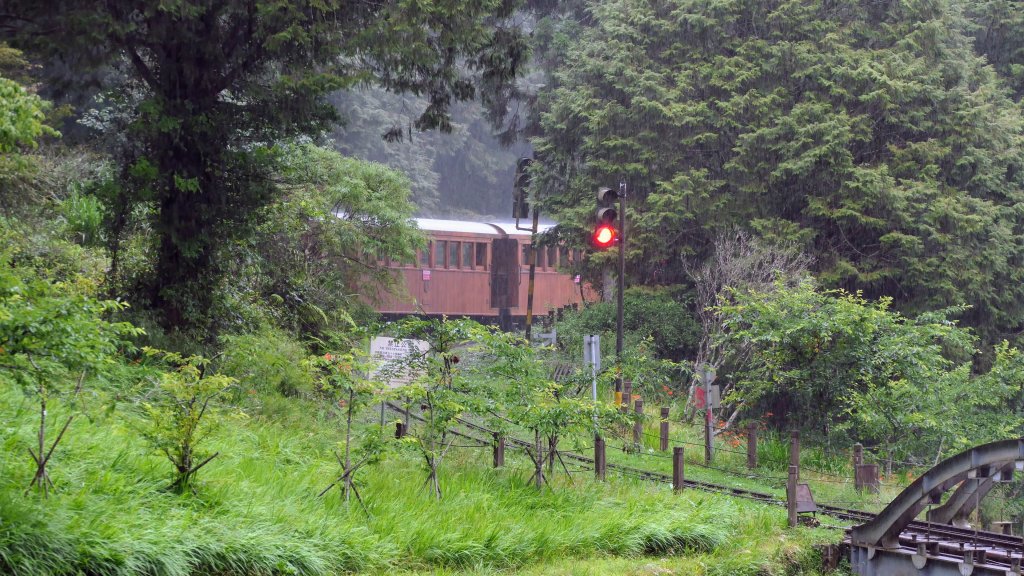 阿里山森遊區-祝山,對高岳步道_2537084